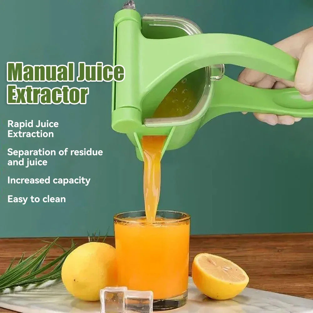 Fruit Juicer